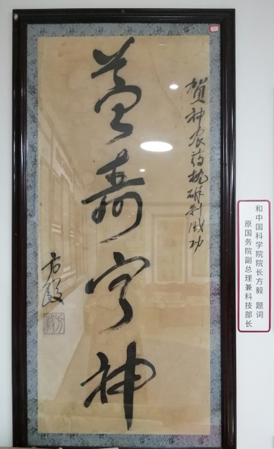 from clipboard from clipboard